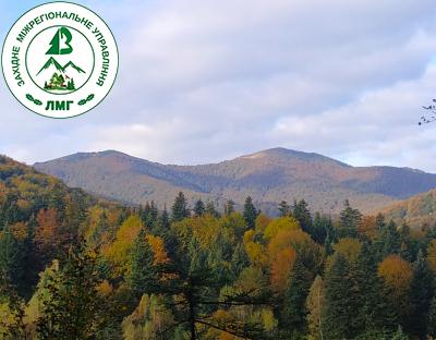 Постійні лісокористувачі працюватимуть за новими правилами лісовпорядкування