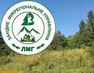 Зростає площа врятованих лісів