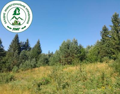 Зростає площа врятованих лісів