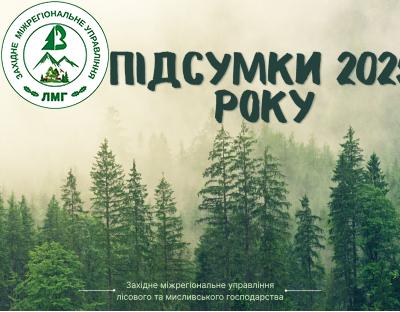 Відтворення лісових ресурсів