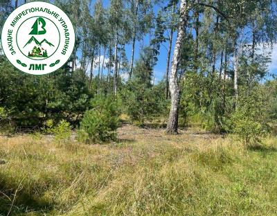 Фахівцями Держлісагентства ідентифіковано та попередньо обстежено понад 23 тис. га самосійних лісів