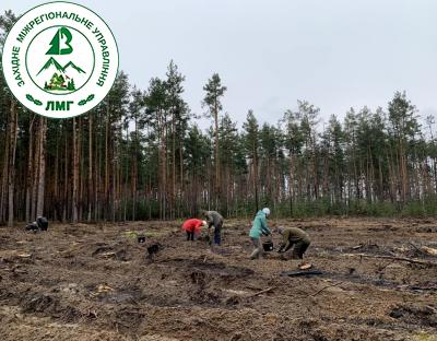 В Україні розпочалася осіння лісокультурна кампанія