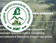 Уряд прийняв важливе рішення, яке суттєво вплине на ведення лісового господарства в Україні