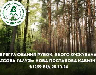 Уряд унормував окремі питання ведення лісового господарства: внесено важливі зміни до діючої нормативної бази