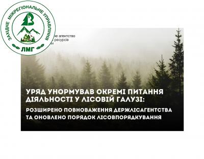 Держлісагентство може здійснювати огляд лісових ділянок перед видачею лісорубного квитка: Кабінет Міністрів України розширив повноваження Державне агентство лісових ресурсів України, а також оновив порядок лісовпорядкування