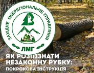  Як розпізнати незаконну рубку лісу: покрокова інструкція