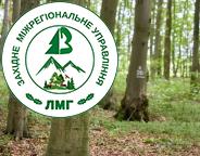 Віктор Смаль: Впевнено рухаємося до впровадження наближеного до природи лісівництва