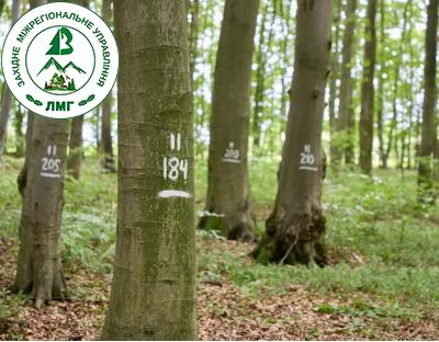 Віктор Смаль: Впевнено рухаємося до впровадження наближеного до природи лісівництва