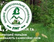 Голова Держлісагентства Віктор Смаль розповів, як врятувати самосійні ліси
