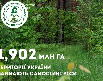 Голова Держлісагентства Віктор Смаль розповів, як врятувати самосійні ліси