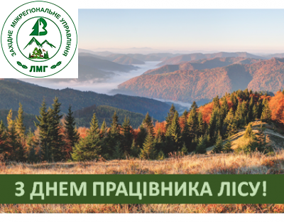 Шановні колеги-лісівники, ветерани лісової галузі, друзі та симпатики лісу!