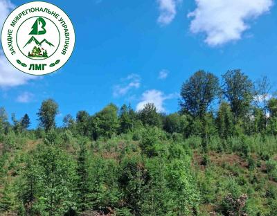 На порядку денному - проведення рубок догляду