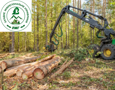 В Україні діють чіткі інструменти контролю санітарних рубок