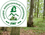 Українські лісівники активно готуються до переходу на наближене до природи лісівництво