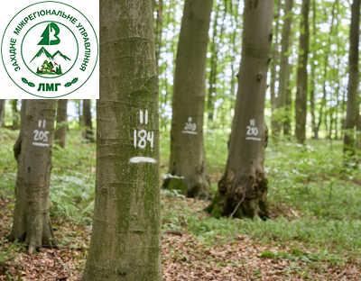 Українські лісівники активно готуються до переходу на наближене до природи лісівництво