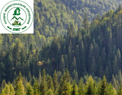 Створення об’єктів природно-заповідного фонду залишається в центрі уваги Держлісагентства