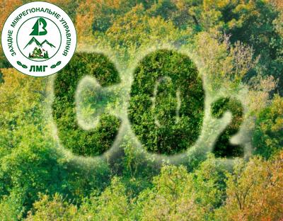 Кліматичне фінансування: можливості для лісового сектору