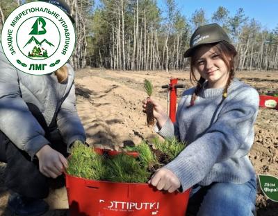 Знищені війною ліси відроджують на деокупованих територіях Херсонщини