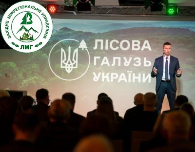 Капітальні інвестиції: у що вкладає кошти лісовий сектор