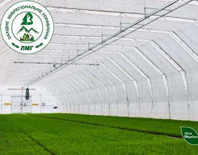 6,4 млн сіянців із закритою кореневою системою висадять в Україні у межах весняної лісокультурної кампанії