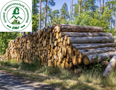 Держлісагентство працює над варіантами збільшення лісозаготівлі з урахуванням природоохоронних зобов’язань
