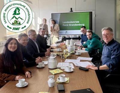 Стале управління лісами: українські фахівці вивчають досвід німецьких лісівників