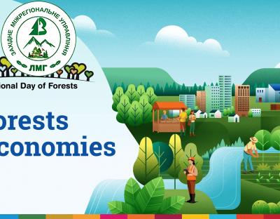Міжнародний день лісів 2026: Ліси та економіка
