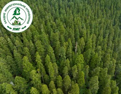 Голова Держлісагентства Віктор Смаль спростував твердження про надмірні рубки