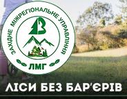 Безбар’єрність є важливим напрямком розвитку лісової галузі