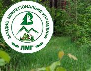 Збереження самосійних лісів: діяльність Держлісагентства та позиція громад