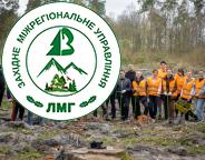 Весняне садіння лісу: спільна справа заради природи і життя