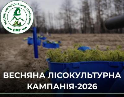 Голова Держлісагентства розповів про перебіг весняної лісокультурної кампанії