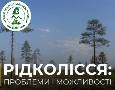 Голова Держлісагентства розповів про проблеми та можливості рідколісся