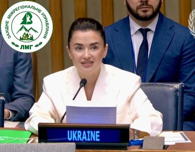 У Нью Йорку на головному світовому Форумі ООН з питань лісів обговорили наслідки російської агресії для лісових екосистем України