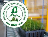 Якісне відновлення лісів та європейські стандарти: що пропонує законопроєкт про лісові репродуктивні ресурси