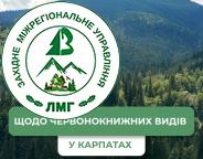 Держлісагентство розгляне повідомлення громадських організацій про червонокнижні види в районі будівництва ЛЕП у Карпатах