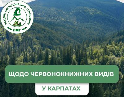 Держлісагентство розгляне повідомлення громадських організацій про червонокнижні види в районі будівництва ЛЕП у Карпатах