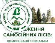 Компенсації громадам за збереження самосійних лісів: голова Держлісагентства Віктор Смаль розповів подробиці