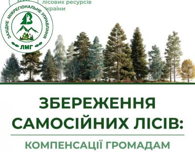 Компенсації громадам за збереження самосійних лісів: голова Держлісагентства Віктор Смаль розповів подробиці