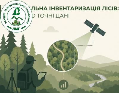 Національна інвентаризація лісів триває попри виклики широкомасштабної війни