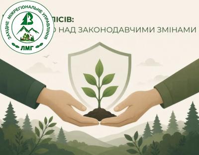 Посилення охорони лісів: Держлісагентство формує механізм взаємодії з Держекоінспекцією