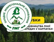 ДП «Ліси України» призупиняє рубки у межах будівництва лінії електропередач у Карпатах