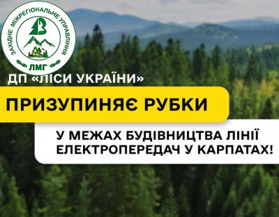 ДП «Ліси України» призупиняє рубки у межах будівництва лінії електропередач у Карпатах