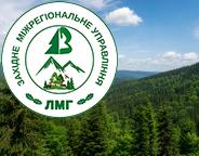 Українські ліси – серед лідерів Європи за сертифікацією сталого лісоуправління