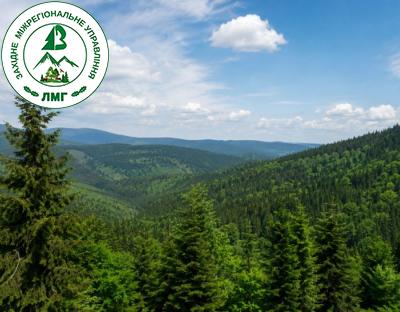 Українські ліси – серед лідерів Європи за сертифікацією сталого лісоуправління