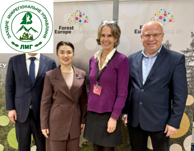 В ЄС готові створити фонд для допомоги лісовому сектору України