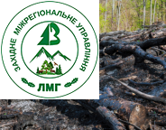 Чинну процедуру оцінки впливу на довкілля треба привести у відповідність до європейських практик – Віктор Смаль