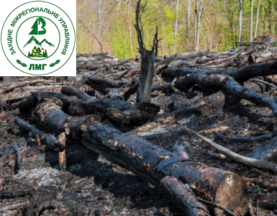 Чинну процедуру оцінки впливу на довкілля треба привести у відповідність до європейських практик – Віктор Смаль